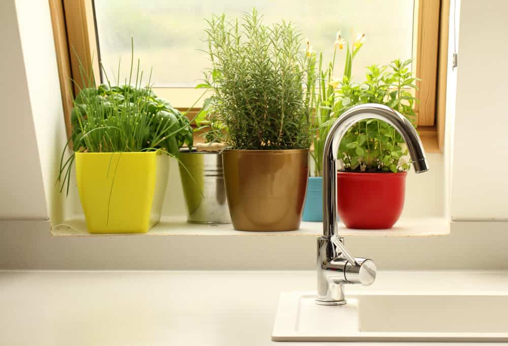 How To Grow Herbs On Your Kitchen Windowsill - Home In The Pastures