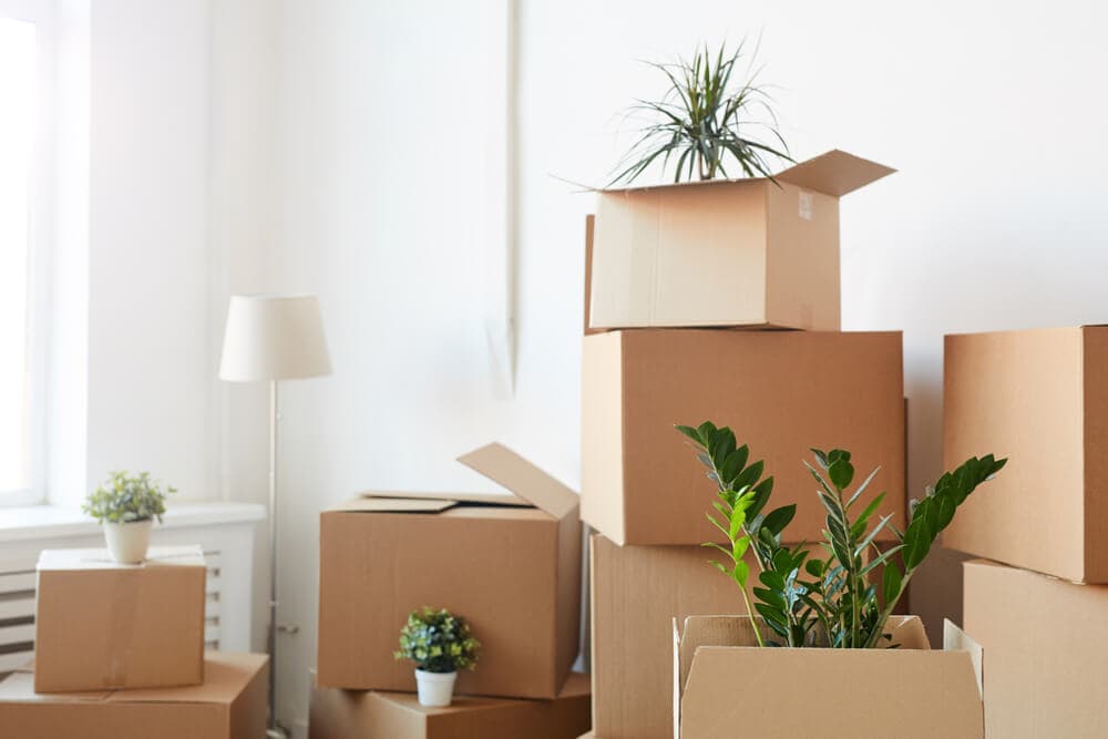 What Are The Best Types of Boxes To Use When Moving Home? - Home In The ...